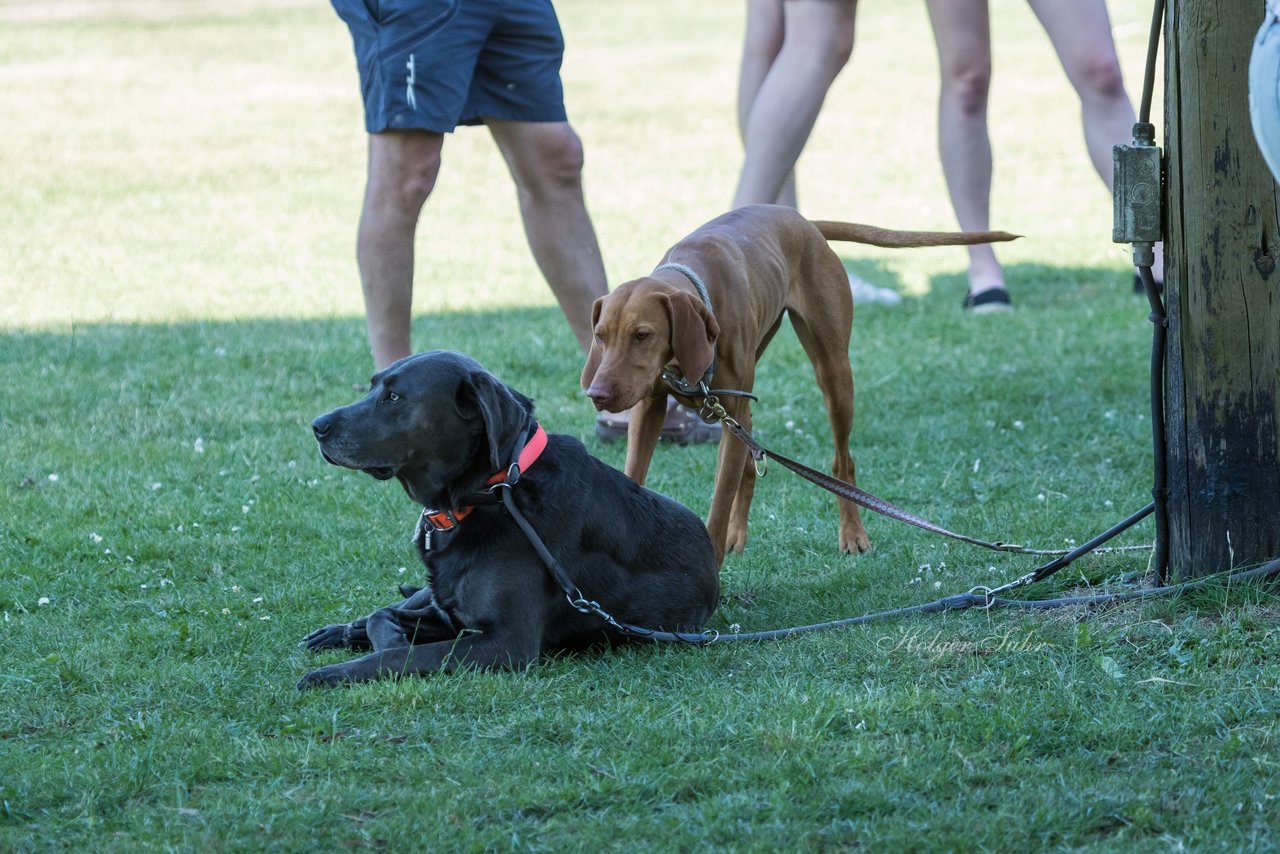 Bild 3 - BL Club an der Alster - Berliner HC : Ergebnis: 3:2